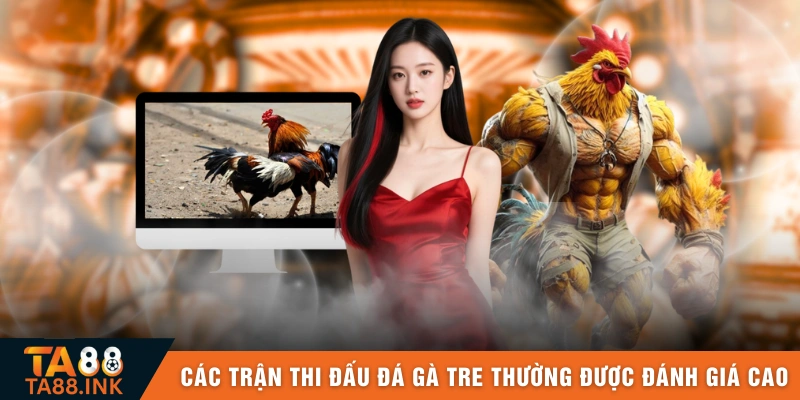 Các trận thi đấu đá gà tre thường được đánh giá cao