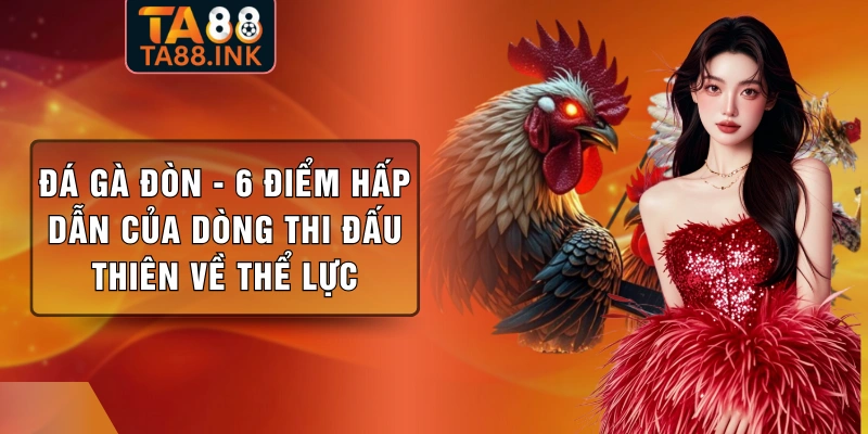 Đá Gà Đòn - 6 Điểm Hấp Dẫn Của Dòng Thi Đấu Thiên Về Thể Lực
