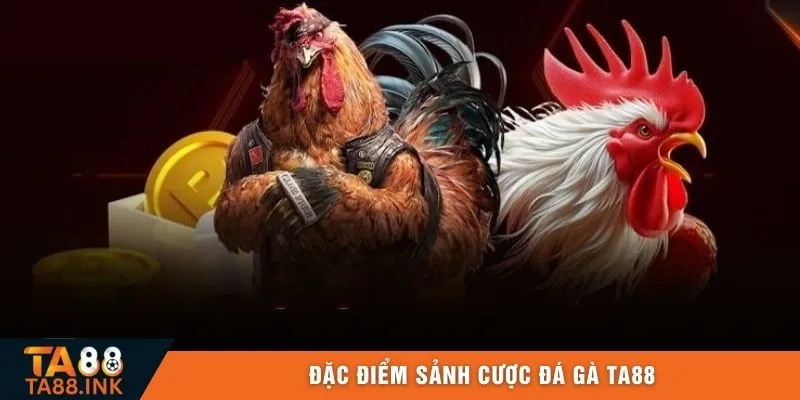 Đặc điểm sảnh cược đá gà TA88